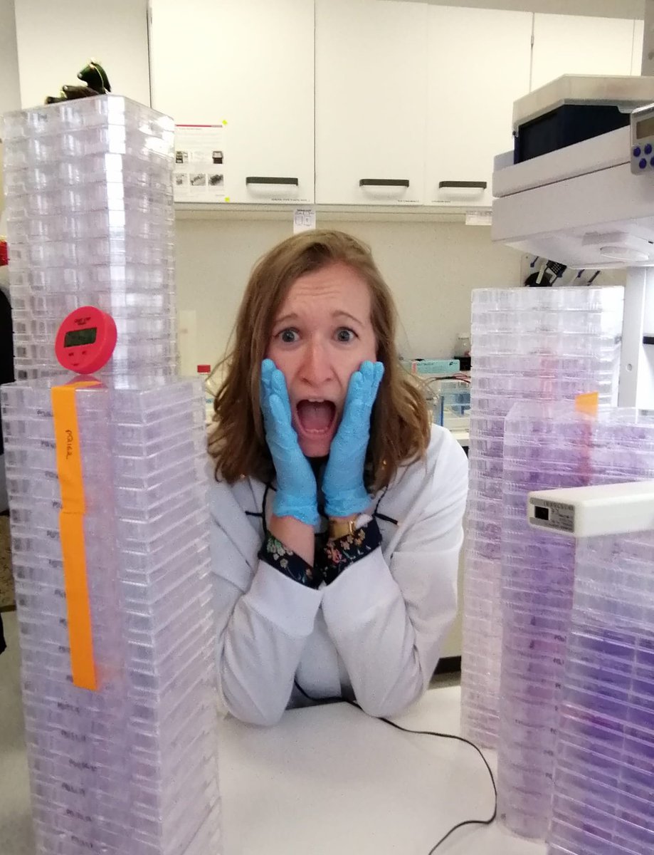 Joanna Loizou (@loizoujoanna) on Twitter photo Happy Christmas from the Loizou lab 🎄🎅 Enjoy your time with family and friends over the holidays and dont get left #HomeAlone like <a href="/AnnaSchrempf/">Anna (Schrempf) Hanzl</a> Happy Christmas from the Loizou lab 🎄🎅 Enjoy your time with family and friends over the holidays and dont get left #HomeAlone like <a href="/AnnaSchrempf/">Anna (Schrempf) Hanzl</a>