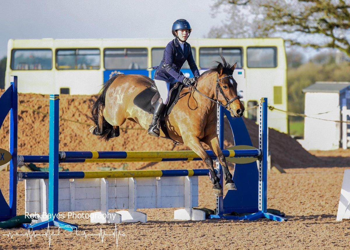 SJSCamelford's tweet photo. Here we see Tia in Yr8 as she is winning her 6 classes, on her 2 ponies, in Somerset this weekend just gone...
Hard work and lots of determination often leads to success! Well done Tia, congratulations on your amazing achievements 🐎🥇! https://t.co/u959fjigte