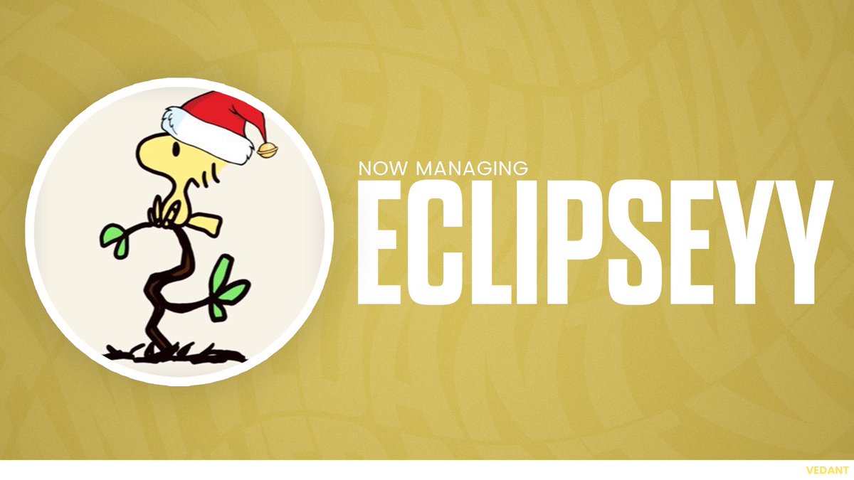 VedantMGMT's tweet photo. Officially working with @eclipseyybtw as his SMM! https://t.co/9LBa4DJWLr