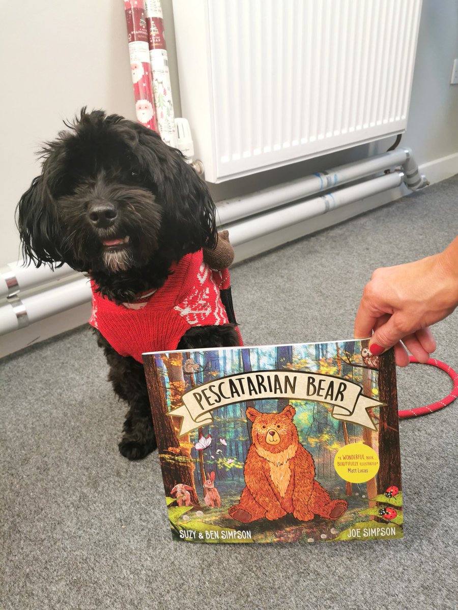 ststephensSW8's tweet photo. Rocco the PAT dog came to visit us again today in his Christmas jumper! He even bought the children a story book called 'Pescatarian Bear' as a gift! @PetsAsTherapyUK @helenoreilly @PesciBear 🐕🐻🎄Thank you! https://t.co/cn9jvMHGrR