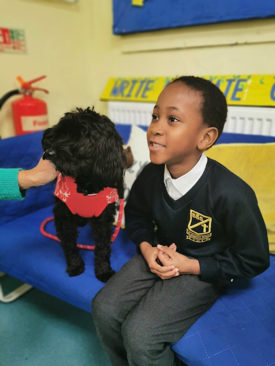 ststephensSW8's tweet photo. Rocco the PAT dog came to visit us again today in his Christmas jumper! He even bought the children a story book called 'Pescatarian Bear' as a gift! @PetsAsTherapyUK @helenoreilly @PesciBear 🐕🐻🎄Thank you! https://t.co/cn9jvMHGrR