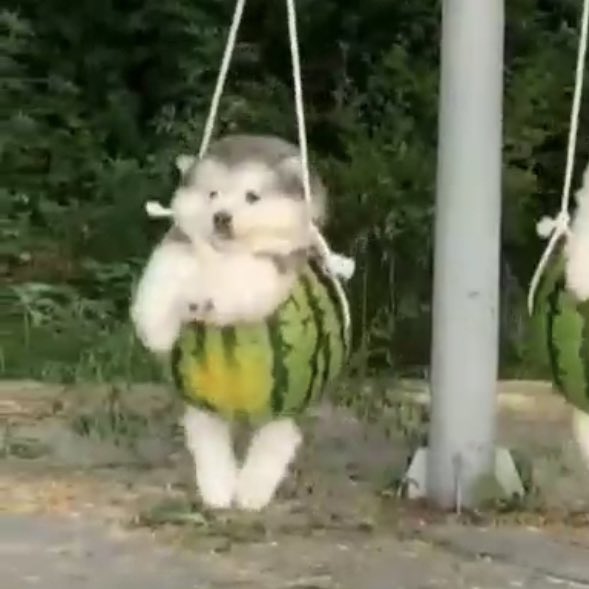 look it’s changbin