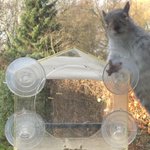 Photo by Professor Debbie Jane Williams (@publishingdeb)