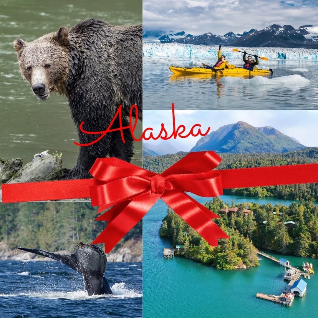 StillpointLodge's tweet photo. The gift of unforgettable adventure!
#giftideas #holidaygiftideas #Alaska #lodge #vacation #virtuoso #holidaygifts #luxurytravel #bearviewing #whalewatching #glaciers #kayaking #flightseeing #gourmetfood #stillpointlodge https://t.co/9r9FvNIzEX