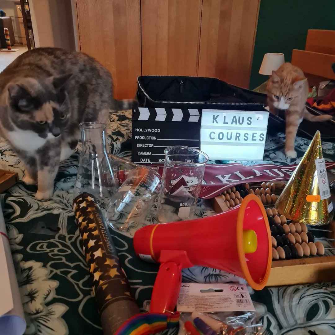 klausapp's tweet image. Klaus’ executive purr-ducers checking out props for our new Top Secret Project. Whiskers, camera, action! 🎬

#klauscourses #customerservice #supportquality #custserv #customersupport
