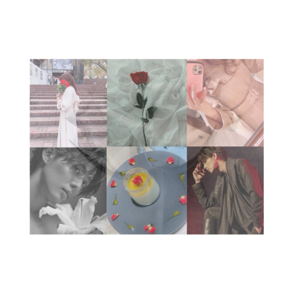 マリノ🥀 tweet media