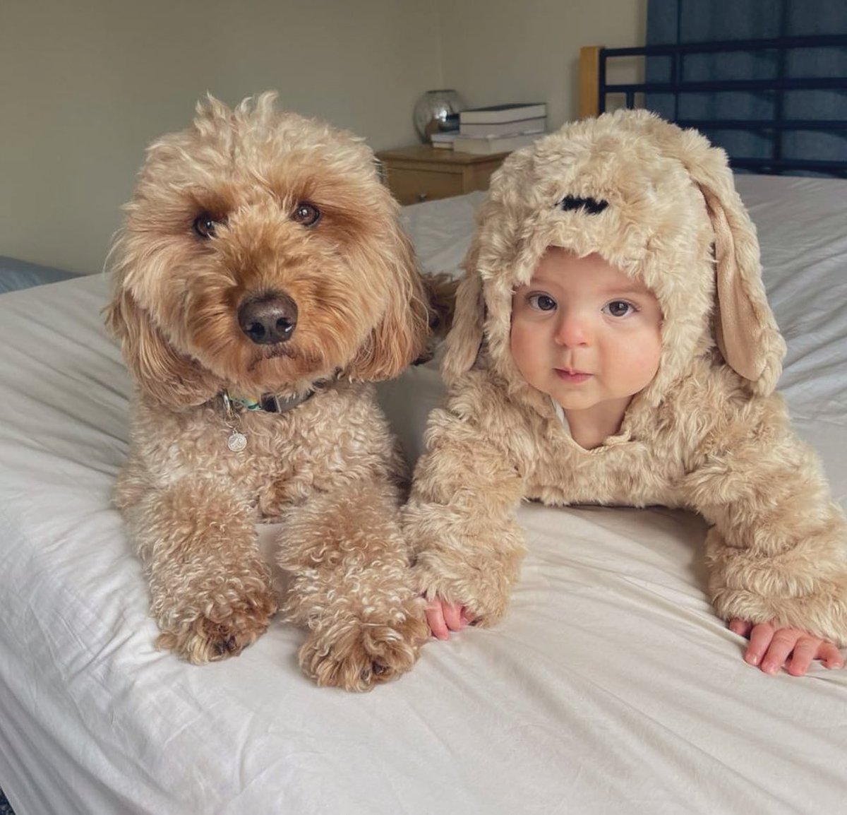 Can’t decide which one’s cuter :)