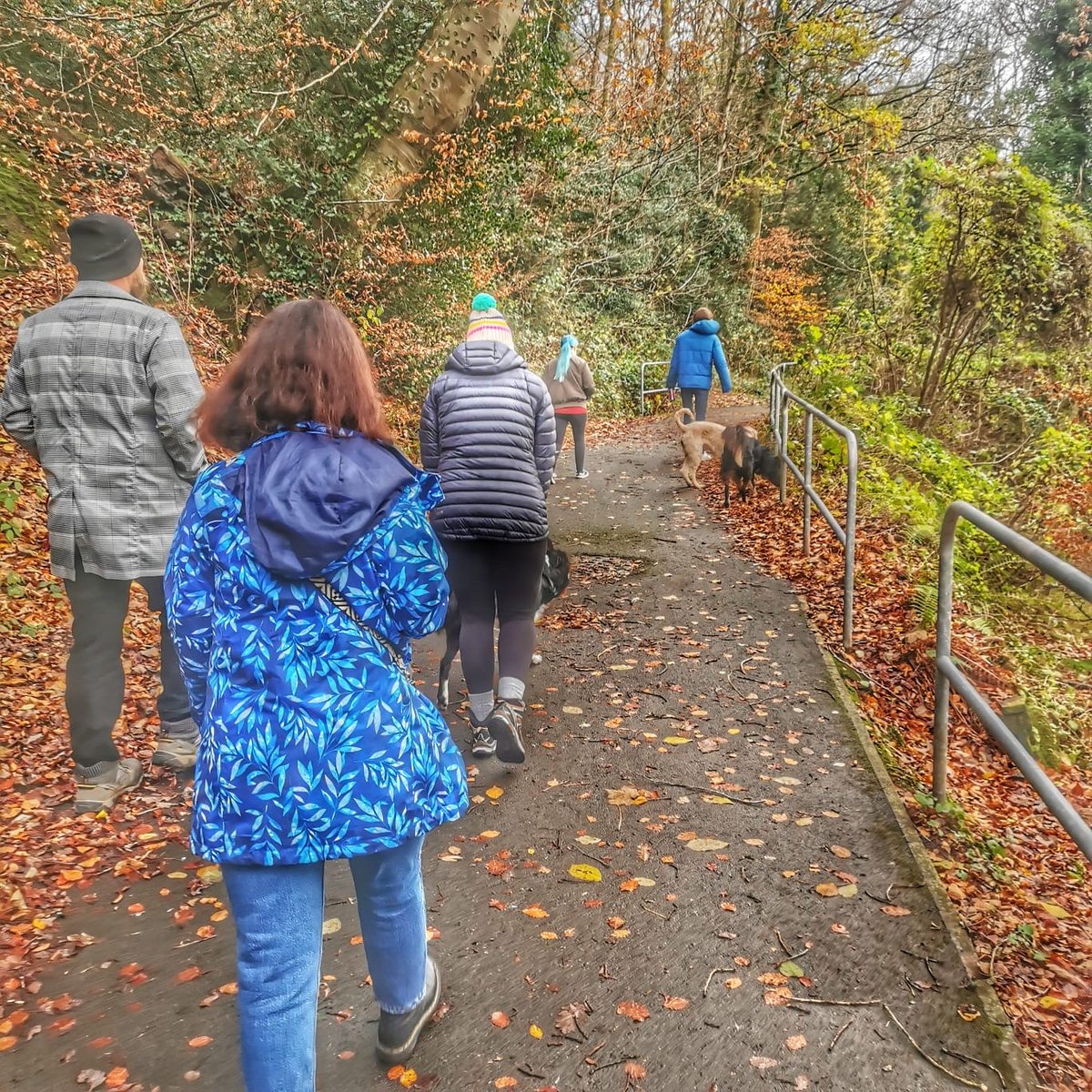 GoGirlsWales's tweet photo. The final walk for White Ribbon Day 2021 – despite the cold, wind and rain (thank you Welsh weather🌧) it was another successful opportunity to share our white ribbon stones throughout Pontypool. 

#WhiteRibbonDay2021 #Pobl #BronAfon #PlanInternational https://t.co/9dcVkvossZ