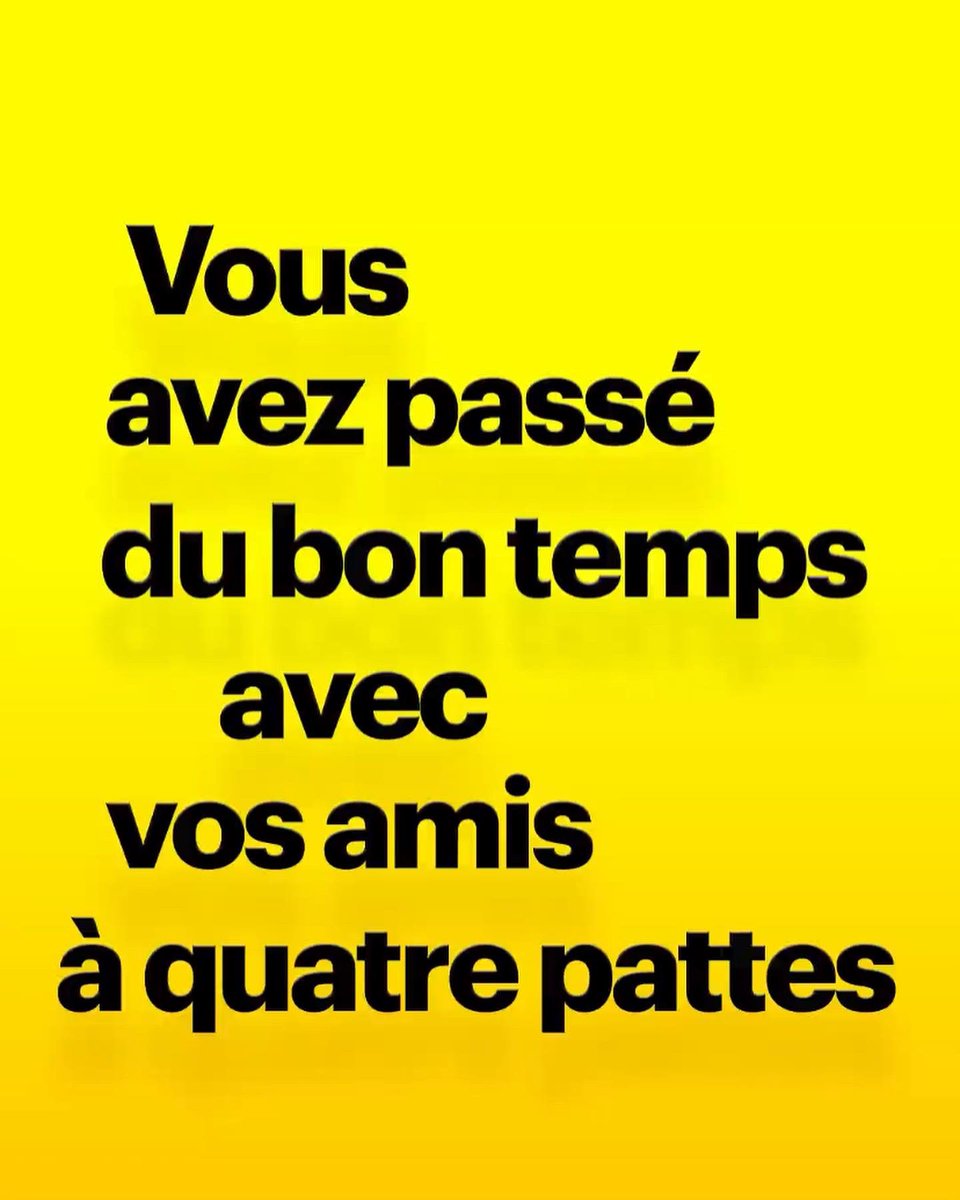 mailyst0pid's tweet image. BAHAHHAHA