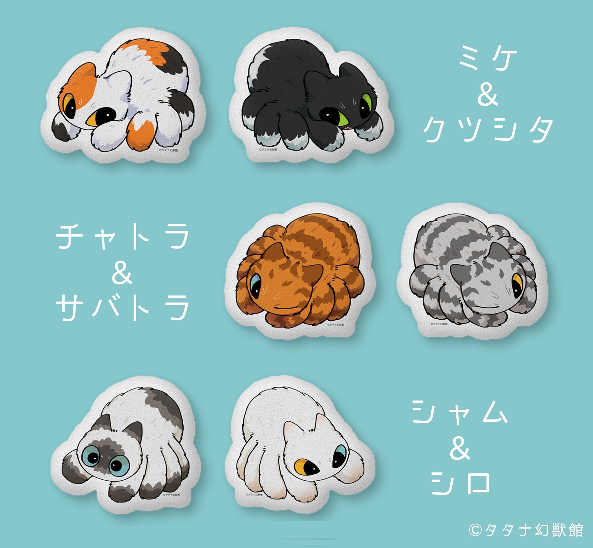 しゃむさま 確認用 | www.manutencaoemfoco.com.br