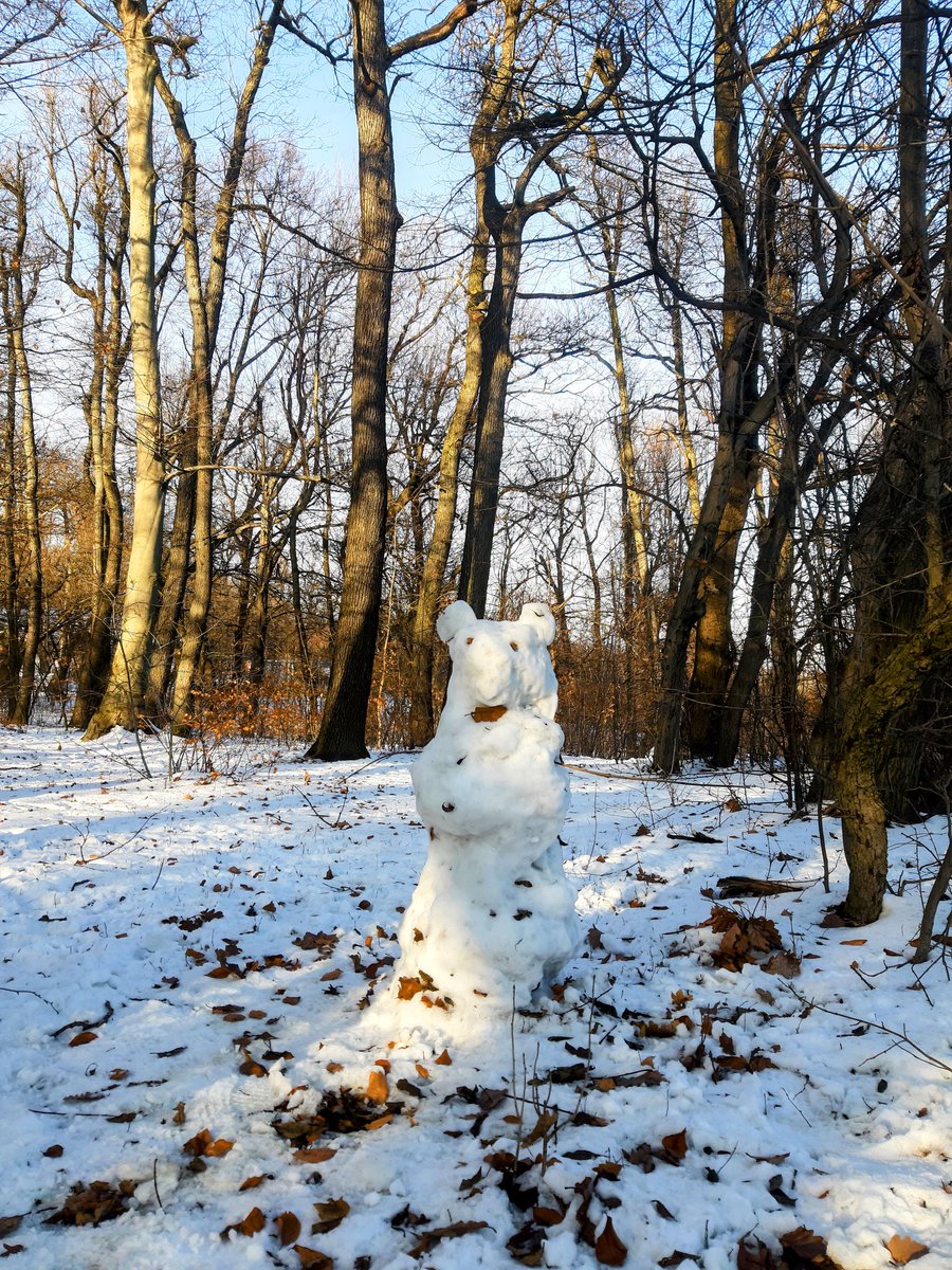 ResulResulaj's tweet photo. Winter is here❄ A short trip at Normafa😊 #Normafa🏂 #BUD☃️ #Hill🗻 https://t.co/CvCHxkzM9w