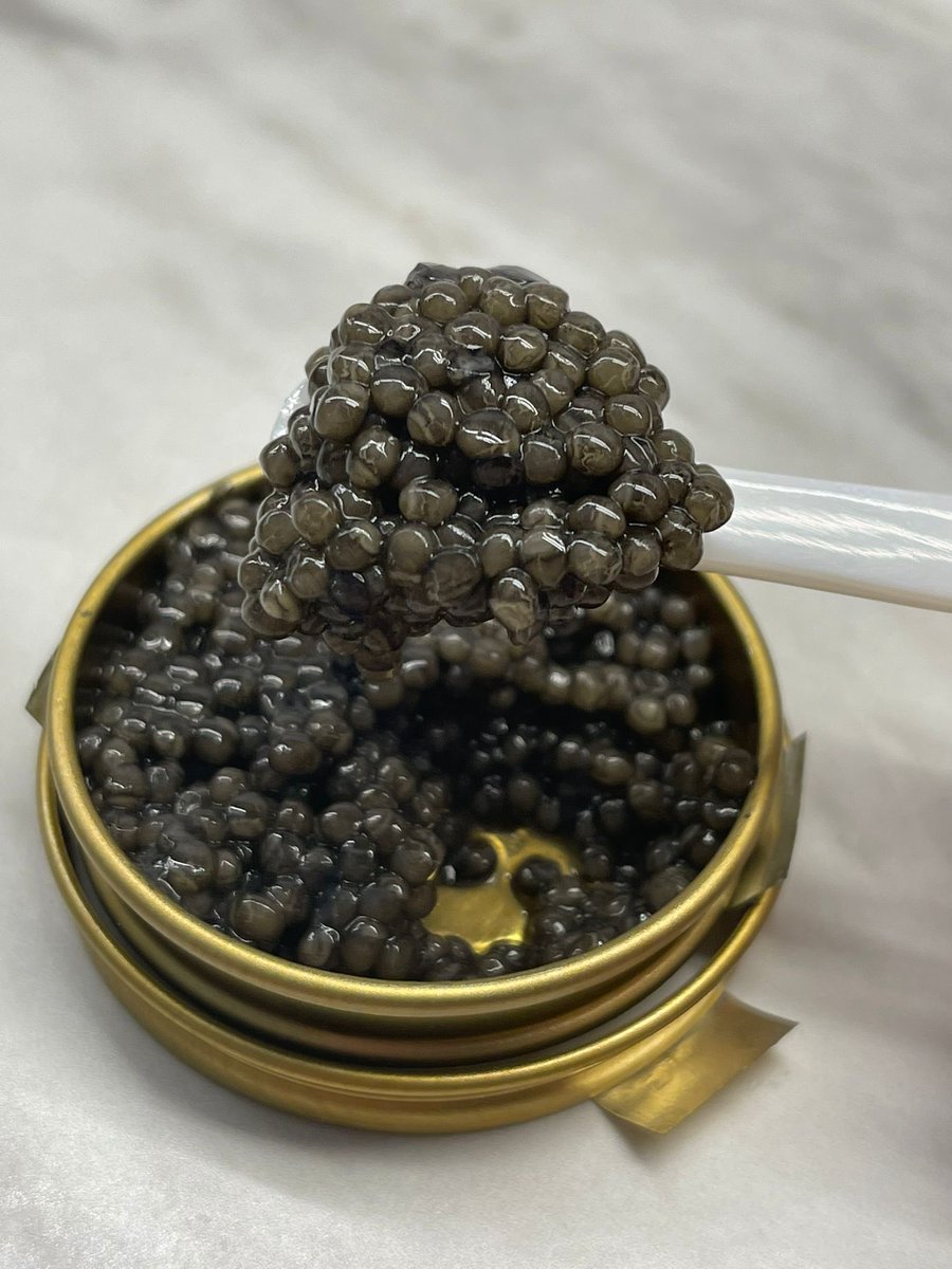 Have you already ordered caviar for Christmas? 

#Christmasgifts #christmasiscoming #Christmas2021 #attiluscaviar #caviar #gourmetfood