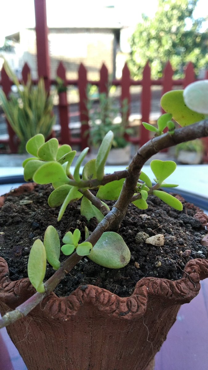 UNHIC Filial Holguín (@unhich) on Twitter photo 