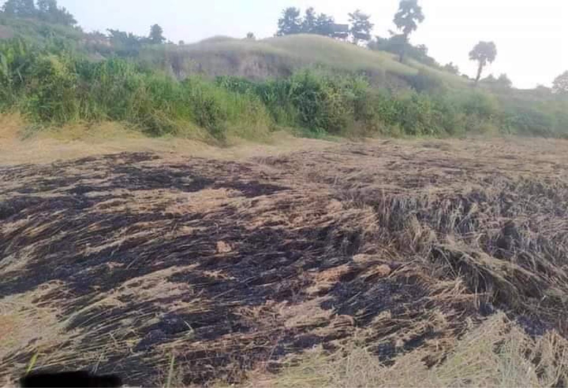 TheChindwin's tweet photo. Myanmar’s junta has burned the crops and several houses to the ground in Mingin Township, #Sagaing region. 
One of the houses impacted include the house of U Aung Htun Lwin who is NLD Mingin Township rep. Mr Aung Htun Lwin has won the 2020 election presenting Mingin constituency. https://t.co/JamQlIGS9J
