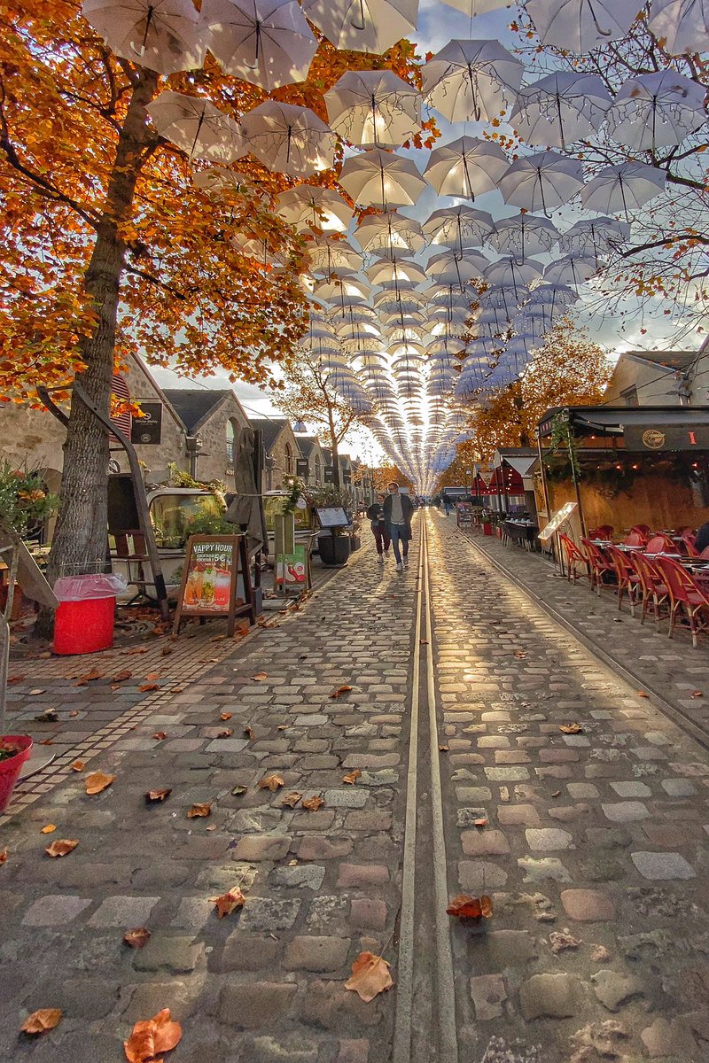 One day I will be free, one day I won't have to tell myself. 😜
➤
➤
➤ instagram.com/winis.in.paris
➤
#parisparis 
#seulementparis
#inaction 
#topparisphoto 
#photoparis 
#parisgram 
#visitparis 
#parismonamour 
#pariscityvision