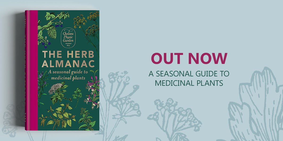 'The Herb Almanac: A seasonal guide to medicinal plants' is a new publication by Chelsea Physic Garden and @Octopus_Books. A seasonal guide to herbs, with tips for your own medicinal herb garden, this book is the perfect gift for any nature lover. Our shop is open until Friday!