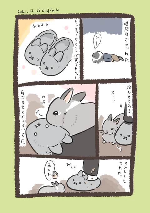 今日のrabbit…
#うさぎのいる生活 
