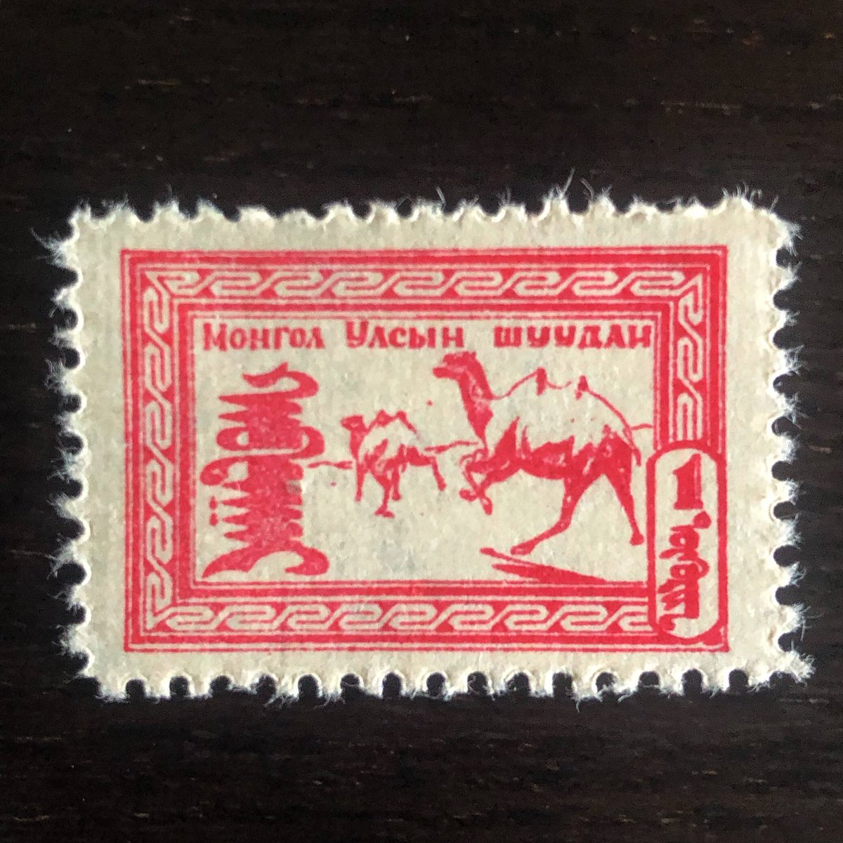 typojo's tweet photo. gorgeous Mongolian stamp lettering #mongolbichig #mongoliantype #typojo #studiotype https://t.co/2gWHR8f5YU