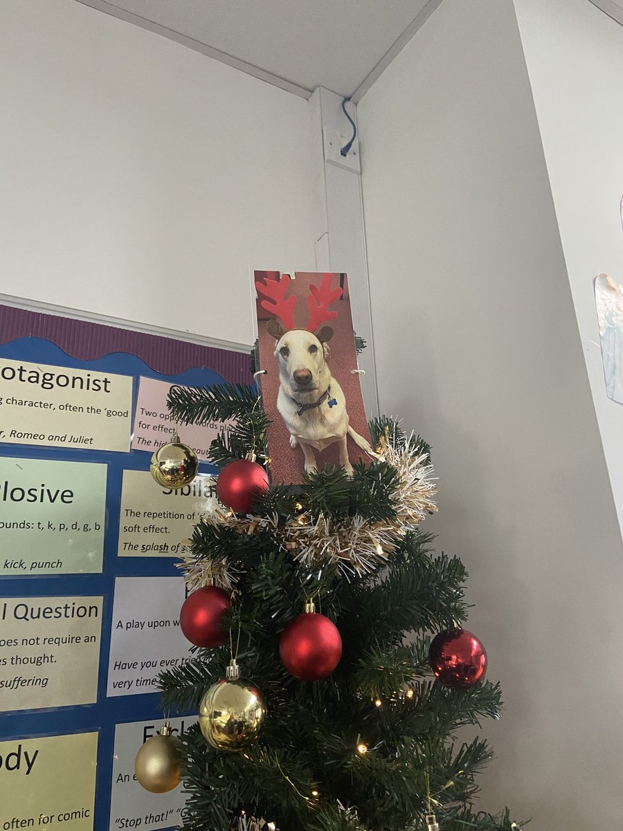 Miss Sadler tweet media