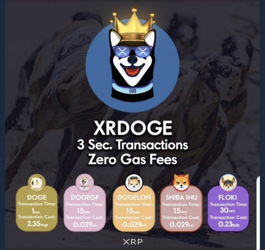 Zxkyle2's tweet photo. #XRDOGE TO THE MOON @XRdoge @XRDOGEtheone @TomMartinFrank1 @XRPNews_ @allthemoney @attorneyjeremy1 @XRPLemi @cryptoo_z @2ColdTrader @JoelKatz #XRPArmy #XRP #XRPL #XRPLcommunity #XRDOGEARMY #XRDOGEDEX @Bitboy_Crypto @AssetsDaily @elonmusk #SHIB #dogecoin https://t.co/cTnx4WAlh4 https://t.co/U2ssxmnIeL