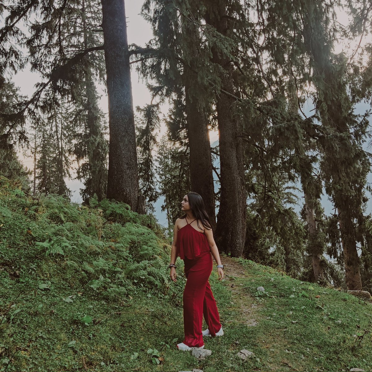 _missBlossom's tweet photo. #wanderinginwoods🌲🏞️ https://t.co/c2z44PFHwp