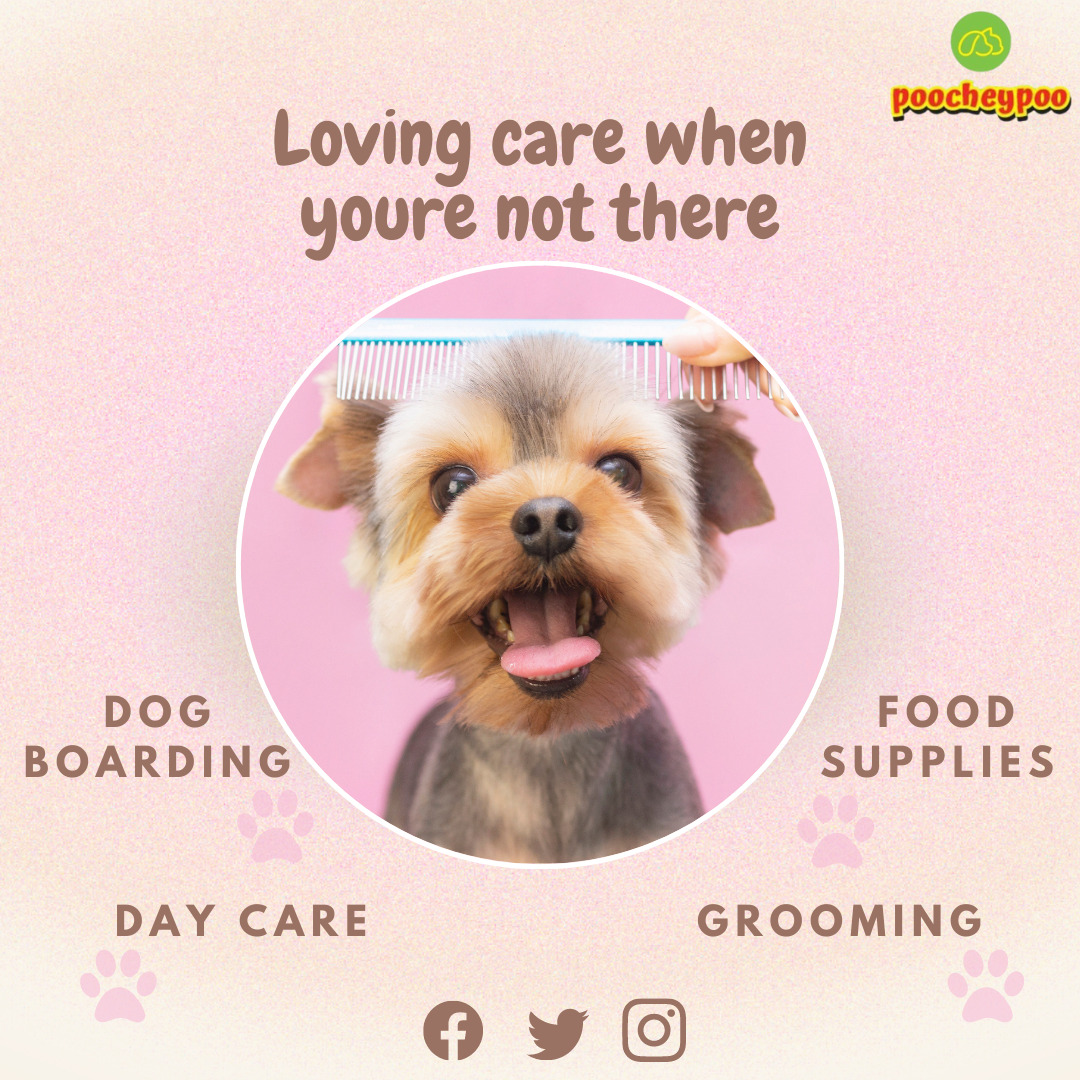 pet boarding supplies