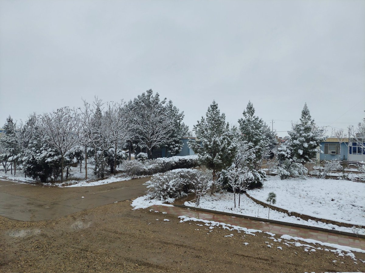 NiazmalRahmat's tweet photo. First #snow_fall in our sweet #homeland,
I took shot on the way to #Jawzjan #Afghanistan https://t.co/9y4mBPD667