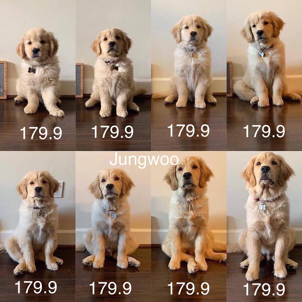 จองอู : ถ้าเราไม่วัดเราก็จะสูงเท่าเดิม นุตัวเท่านิ🤏🏻 ตลอดไป😔