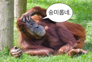 GYobr7Q's tweet photo. 개듬직해 https://t.co/snhgwUPEvj