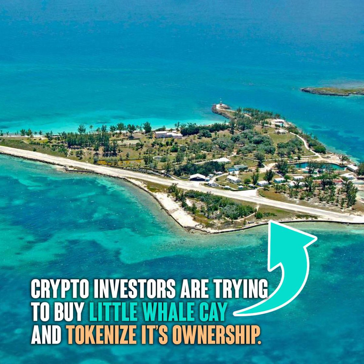 xShad0wzzx's tweet photo. @saylor Did you hear about $CISLA, the currency of #Cryptoisland 🏝️

#CryptoislandDAO
The 1st #cryptocurrency that will start a community owned #Privateisland in the Bahama's🇧🇸 
https://t.co/V5UHmrBDgi

#BSC #NFT #BNB #BTC #crypto https://t.co/qt7zpToBGj