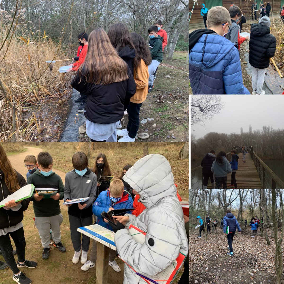 insmariustorres's tweet photo. Tot i el fred, hem anat a la Mitjana a conèixer la fauna i flora de l'entorn. #projectes #1rdeso #insmàriustorres #lamitjana https://t.co/JOGTL9h8Pi