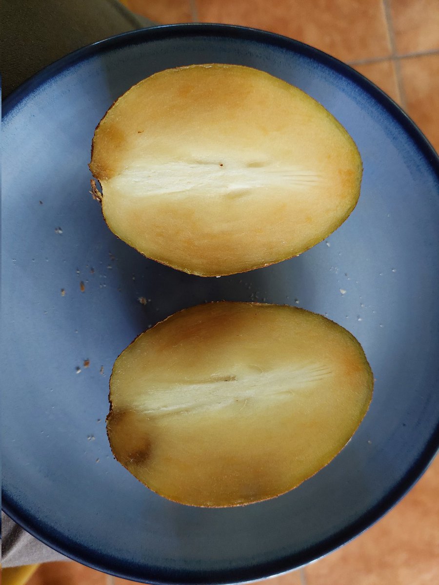 dmccaulay's tweet photo. Hi @Roosters_World Do you know the name of this tree? Fruit is bigger and grainier than a naseberry. No seeds.#treesearch https://t.co/HkNZwtFPJR