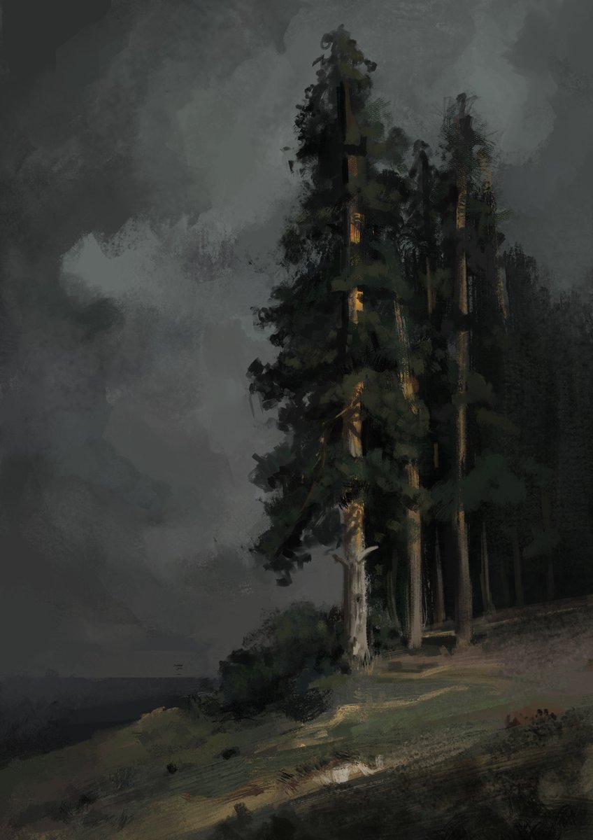 DieUbahn's tweet image. quick baum