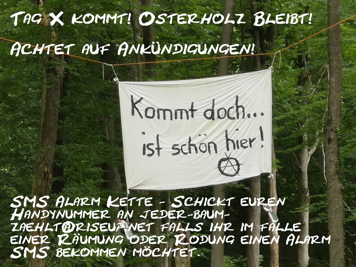 Es ist soweit: 01. Januar 2022: #TAGX im Osterholz! - Es bleibt dabei: Das Spielfeld bestimmen wir! - Aufruf - Weiterlesen: jederbaumzaehlt.noblogs.org/post/2021/12/1… #OsterholzBleibt #Wuppertal #Vohwinkel #Haan #Gruiten #AlleWälderBleiben #JederBaumZählt
