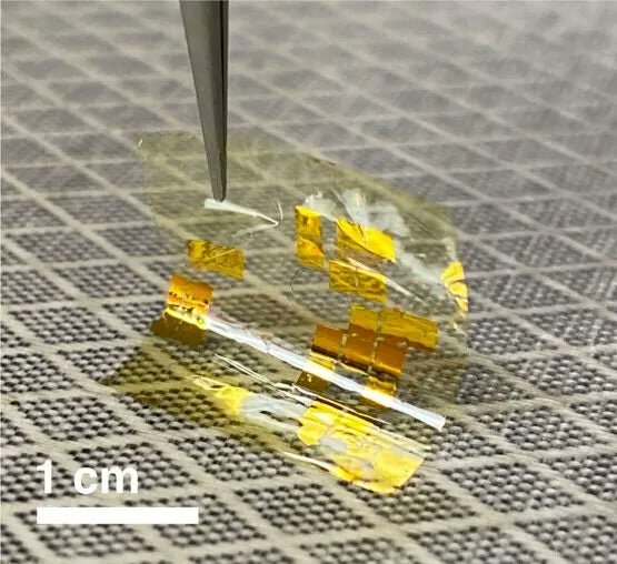 milesquarelabs's tweet image. Newly developed solar materials could usher in ultrathin, lightweight solar panel. Full article here: buff.ly/3GFsHLe #solarpanel #solarmaterials #solarengineering #innovation