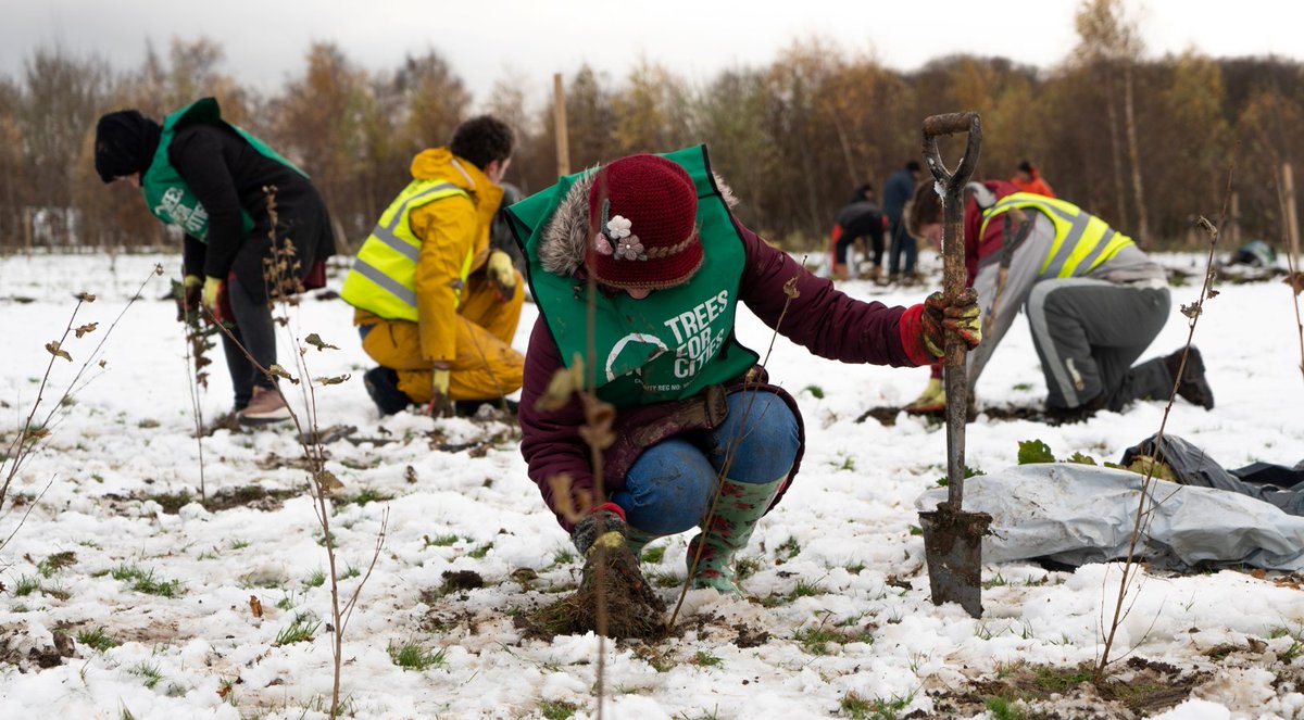 TreesforCities's tweet photo. Check out our highlights from this year's #NationalTreeWeek 🌳 

As well as planting thousands of #UrbanTrees up and down the country, we smashed our @BigGive fundraising target in just a matter of days! 🎉 

Read the full rundown: https://t.co/l8VLmlZviY

#GenerationTree https://t.co/UalQ5AxQPv