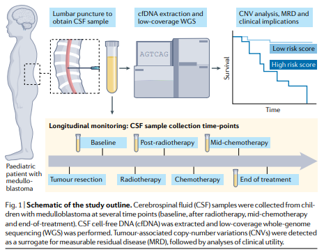 NatRevClinOncol's tweet photo. In a new News &amp; Views article, Joan Seoane &amp; Laura Escudero discuss the potential utility of cerebrospinal fluid liquid biopsies for medulloblastoma: https://t.co/MOIiqOxOPV #pedcsm #BTSM #camoldx #pedonc #cactc https://t.co/pYkyw886W2