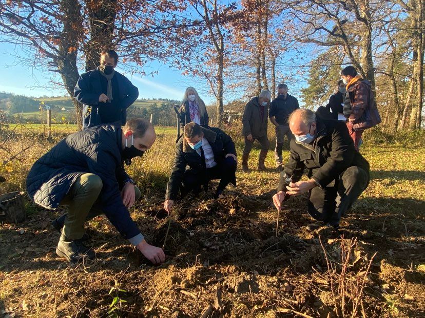 Majorité Saint-Étienne tweet media