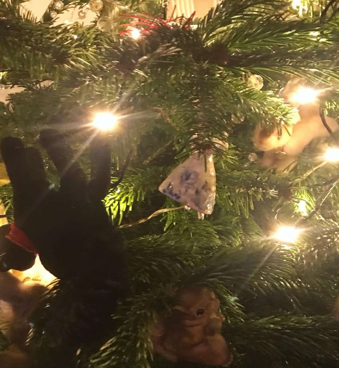 sakurabiscuits's tweet photo. #christmastree #decoretion #soon #クリスマスツリー を飾った。#もうすぐ ですね、#クリスマス https://t.co/3jGT5kCf4S