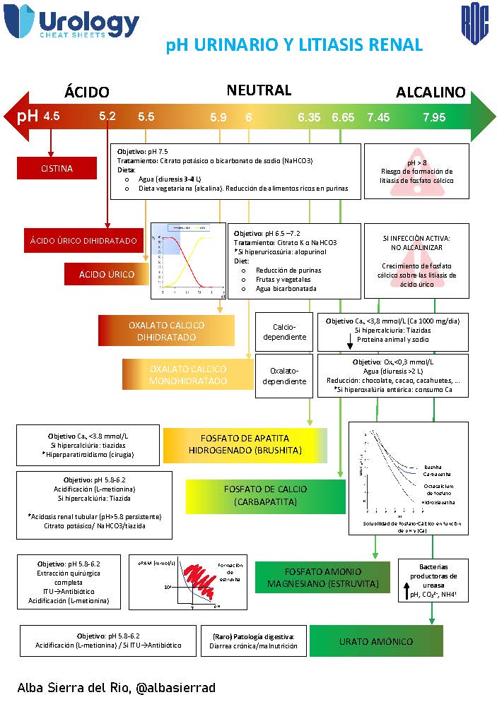 There are many types of urinary #lithiasis. It is important to know their #metabolic and pathological characteristics in order to offer adequate treatment.

Do you want to know more?

Don’t miss this fantastic #urologycheatsheet created by @albasierrad!

#urinaryph
@ROC_Urologia