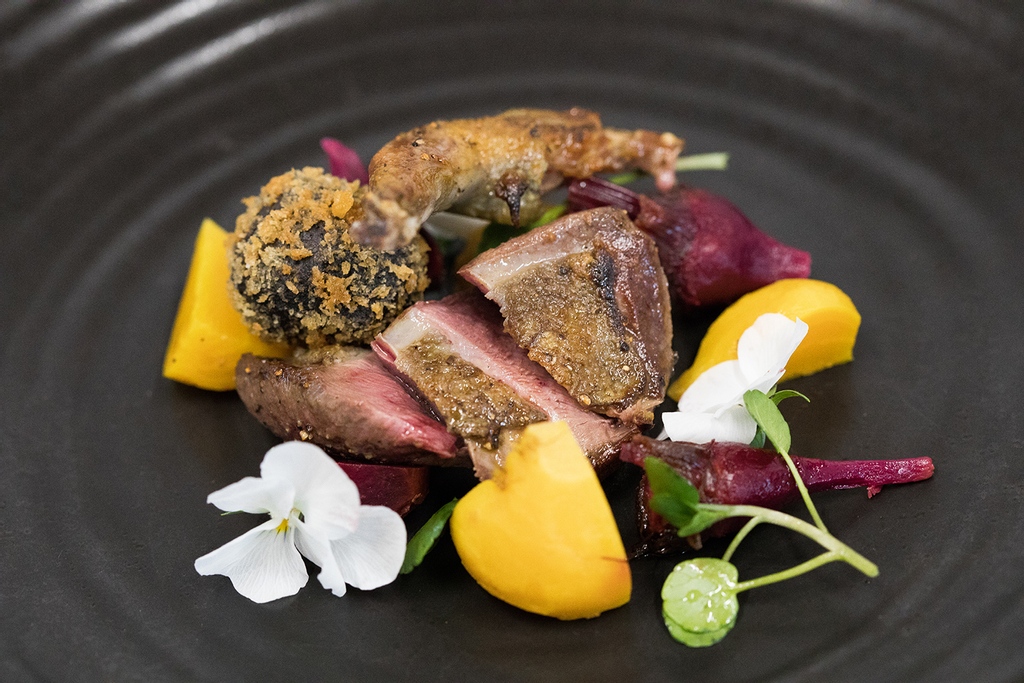 Pigeon, Smoked Pigeon Leg, Black Pudding bon bon &amp; Heritage beetroot.⁠

Have you ever tried Pigeon? 

.

#pigeondish #pigeon #eatpigeon #trypigeon
#gamecaterers #veniandson #fieldtofork