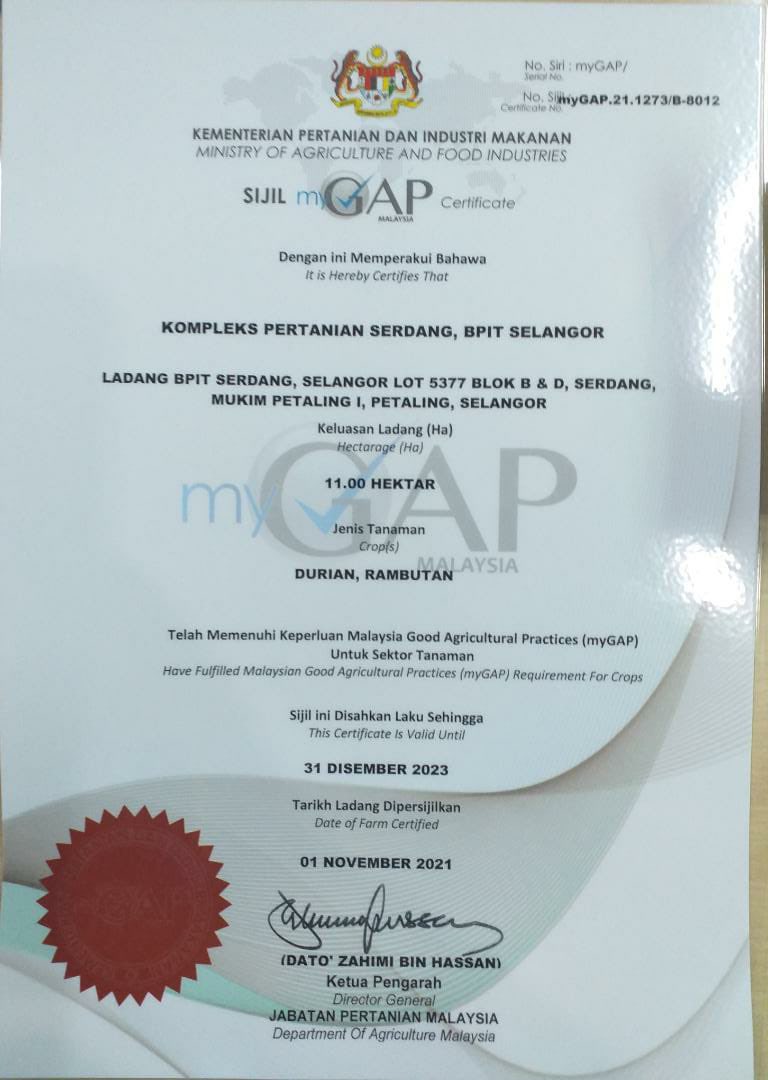 myGAP ialah satu pensijilan yg direka oleh <a href="/myDOA_HQ/">Jabatan Pertanian Malaysia 🇲🇾</a> utk memberi pengiktirafan kpd ladang2 yg melaksanakan amalan pertanian yg baik (GAP) dgn konsepnya mesra alam, menjaga kebajikan &amp; keselamatan pekerja supaya mereka blh menghasilkan produk yg berkualiti, selamat &amp; blh dimakan.