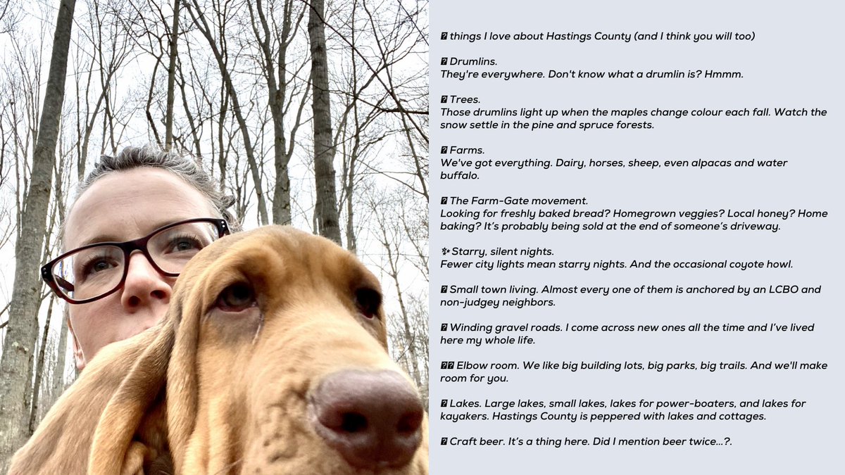 RLPElaine's tweet photo. 10 Things I LOVE about Hastings County. 
If you are planning a move, why not find 10 things you personally love about Hastings County? 
#hastingscounty
#wildlyauthentic
#bellevillerealtor
#starrynights
#elaineboumarealtor https://t.co/RY1CEoqPQt
