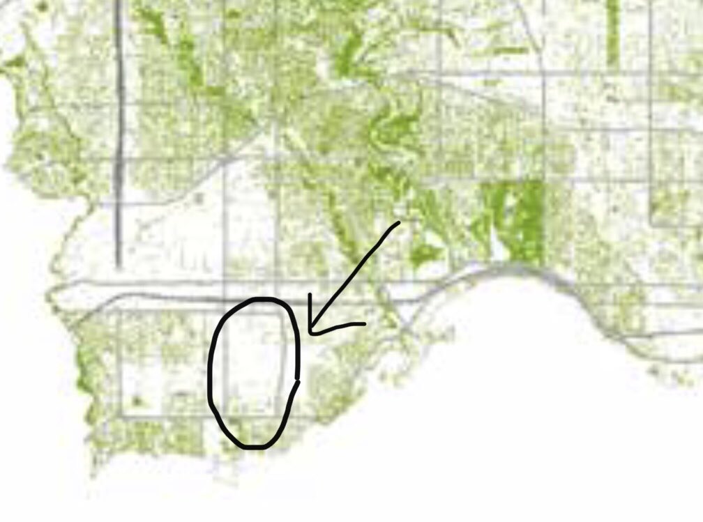 Pamela Gough 🇨🇦 (@pamelagough) on Twitter photo Here’s tree canopy coverage for New Toronto, where city staff want the 12 mature trees on Dwight Ave to be cut down for infrastructure development. An area with few trees will now have less. This runs counter to the city’s own policy on tree canopy equity. <a href="/EtobicokeTrees/">South Etobicoke Trees</a> Here’s tree canopy coverage for New Toronto, where city staff want the 12 mature trees on Dwight Ave to be cut down for infrastructure development. An area with few trees will now have less. This runs counter to the city’s own policy on tree canopy equity. <a href="/EtobicokeTrees/">South Etobicoke Trees</a>