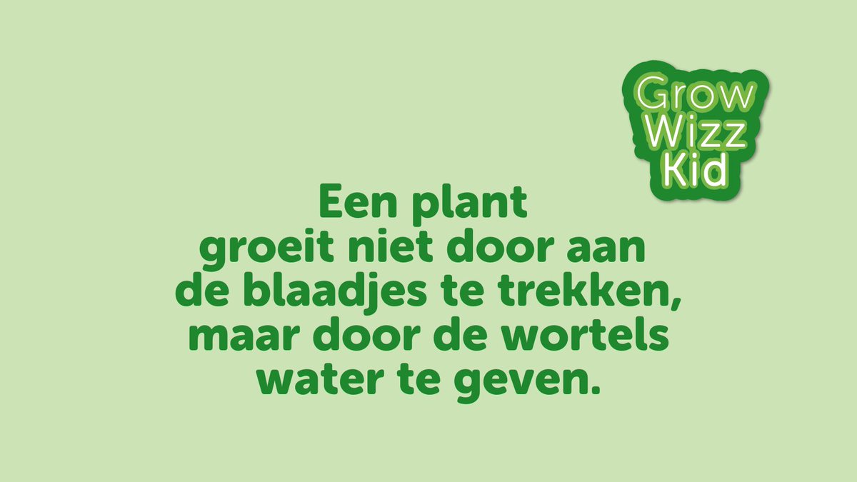🍀 #𝗚𝗲𝗹𝘂𝗸 𝗶𝘀 𝗵𝗲𝘁 𝗲𝗻𝗶𝗴𝗲 𝗱𝗮𝘁 𝘇𝗶𝗰𝗵 𝘃𝗲𝗿𝗺𝗲𝗻𝗶𝗴𝘃𝘂𝗹𝗱𝗶𝗴𝘁 𝗮𝗹𝘀 𝗷𝗲 𝗵𝗲𝘁 𝗱𝗲𝗲𝗹𝘁! Daarom hebben we deze decembermaand weer de '𝗤𝘂𝗼𝘁𝗲 𝘃𝗮𝗻 𝗱𝗲 𝘄𝗲𝗲𝗸'. Eentje die blijft hangen om #positiviteit te verspreiden. Delen dus, LED it Grow!