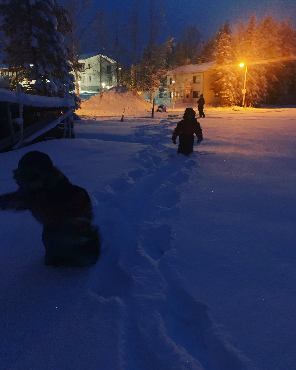 Katie carleton-davies tweet media