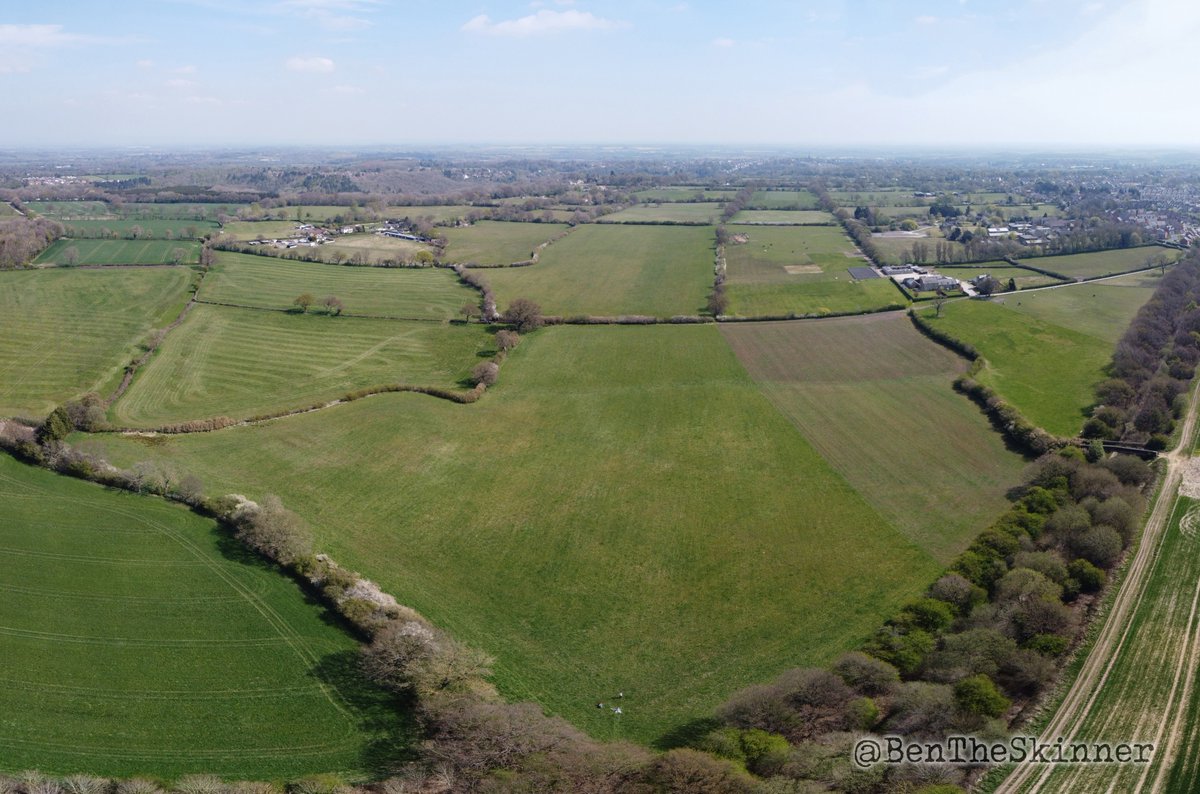 BenTheSkinner's tweet photo. Long Lands Common, North Yorkshire, Spring '21. https://t.co/EsxjdnEuAn