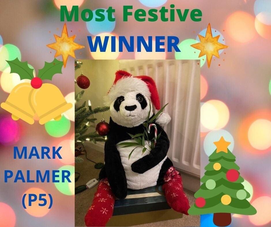 EdinPta's tweet photo. Look at these amazing winners in our Christmas Cracker Week best dressed pet/cuddly friend competition! https://t.co/Huza8yqTWj