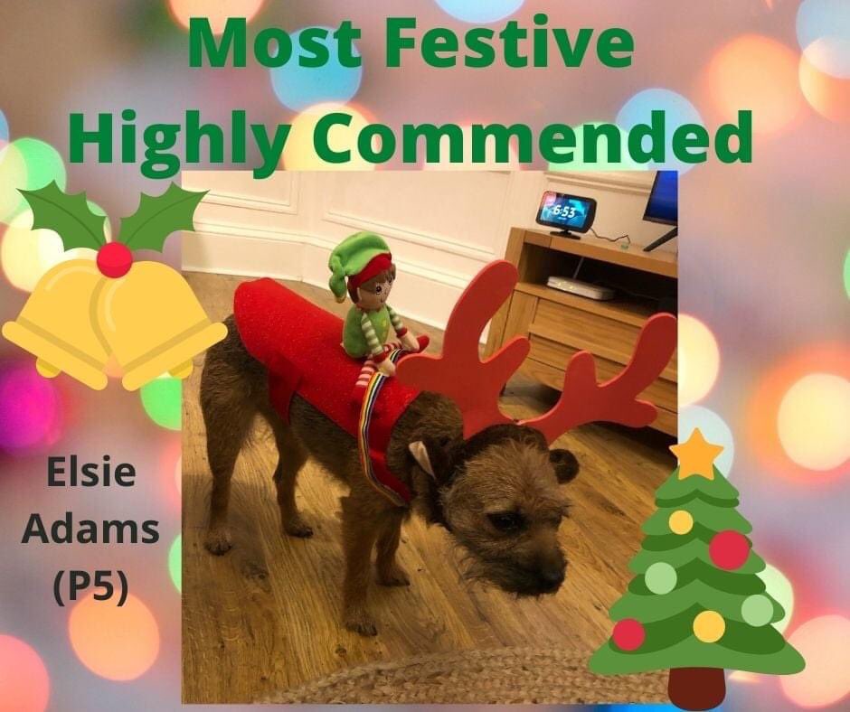 EdinPta's tweet photo. And these two highly commended runners up! Well done all for getting them to sit still long enough (especially that panda…) https://t.co/BHHOZqXDVO