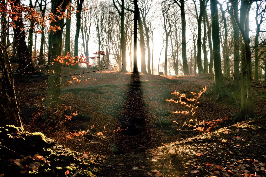 A #beautiful Winter's day at Meltham Mills 😊🧡 <a href="/StormHour/">#StormHour</a> <a href="/ThePhotoHour/">#ThePhotoHour</a> #Yorkshire #sunshine #WednesdayMotivation